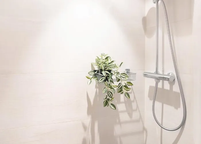 Zur Brockenoase Saunahaus *